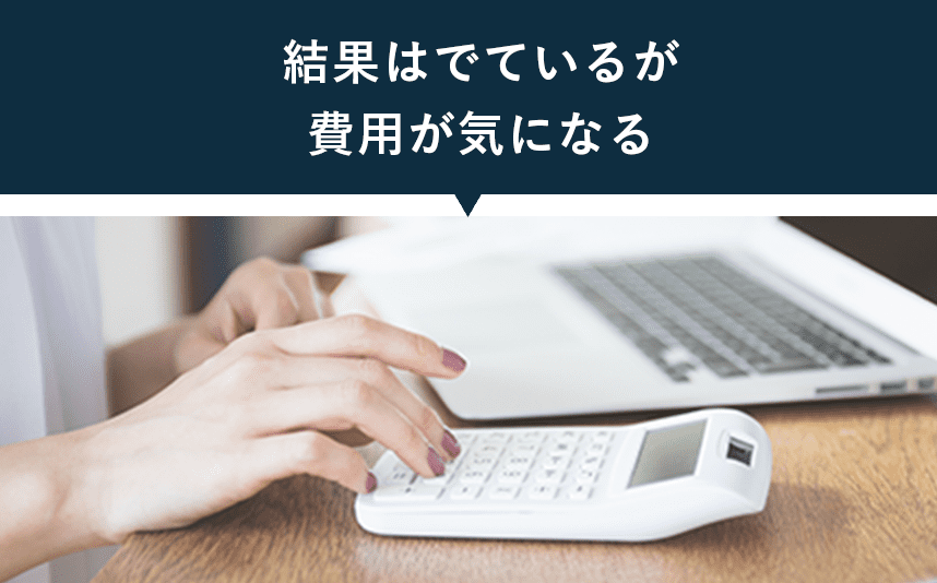 結果はでているが費用が気になる